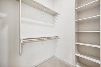 Spacious closets with built-in shelving